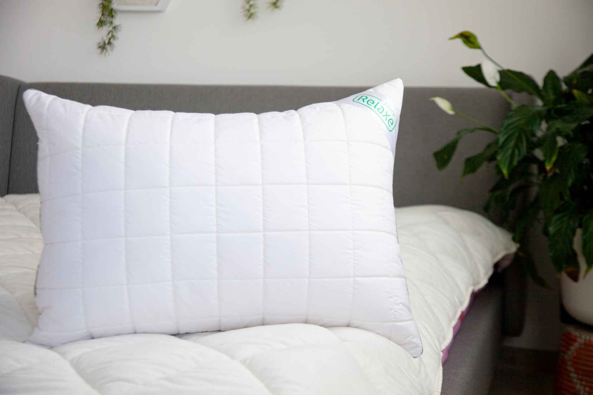 perna-moale perna moale